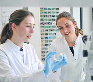 profiles teaser thumbnail