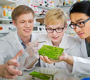 profiles teaser thumbnail