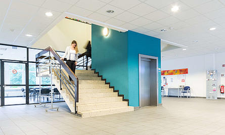 © FOM Hochschule / AdobeStock study profile image