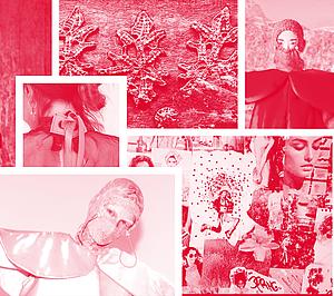 profiles teaser thumbnail