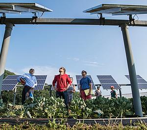 profiles teaser thumbnail