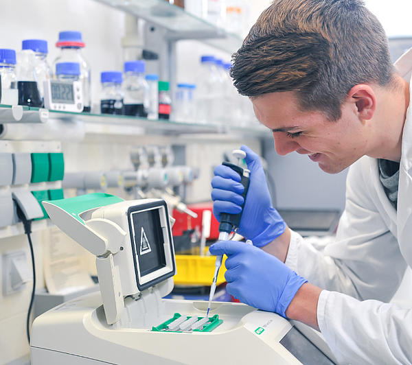 Labor profiles teaser