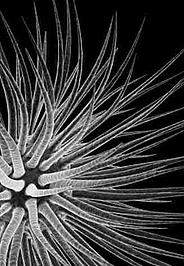 © Foto: MLU study profile image