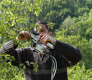 © Foto: MLU study profile image