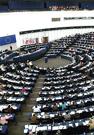 © Foto: MLU study profile image