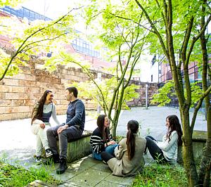 profiles teaser thumbnail