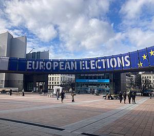 profiles teaser thumbnail