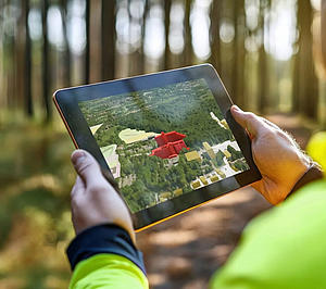 profiles teaser thumbnail