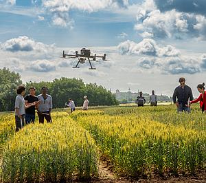 profiles teaser thumbnail