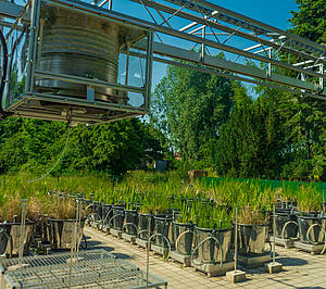 profiles teaser greifswald-sommer-20210619-_DSC7320-jm-300dpi-3000xnn_2_.jpg