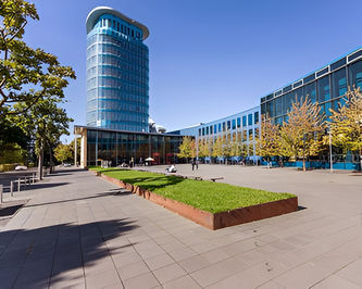 © SRH University