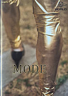 WG-World, Wildermuth-Gymnasium