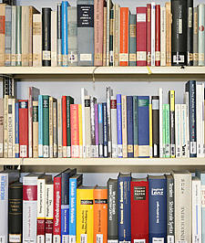 profiles teaser Komparatistik_d4eb70.jpg