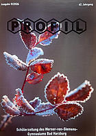 Profil, Werner-von-Siemens-Gymnasium