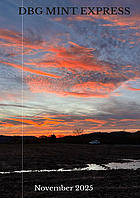 DBG-MINT-Express, Dietrich-Bonhoeffer-Gymnasium