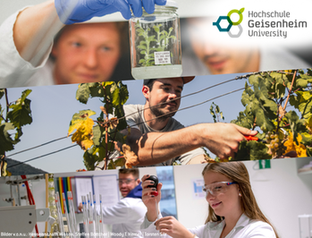 © Bilder v.o.n.u.: Hessen schafft Wissen, Steffen Böttcher | Woody T. Herner | Torsten Silz