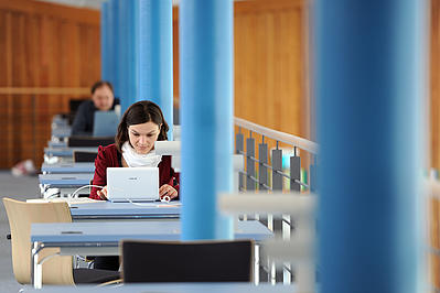 study profile image