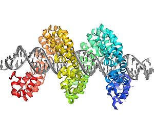 profiles teaser www-bioinformatik-b-dna-protein-joerdisannschueler_37.jpg