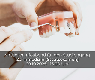 © HMU Erfurt