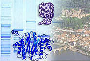 profiles teaser biochem.jpg