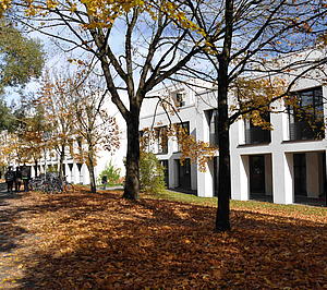 profiles teaser Institut_06.jpg
