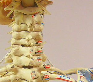 profiles teaser Physiotherapie_02.jpg