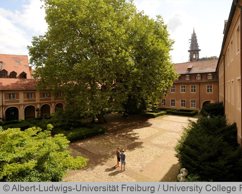 Liberal Arts And Sciences An Der Uni Freiburg Studieren