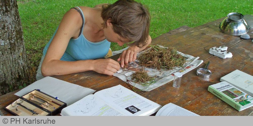 Biodiversitat Und Umweltbildung An Der Ph Karlsruhe Studieren