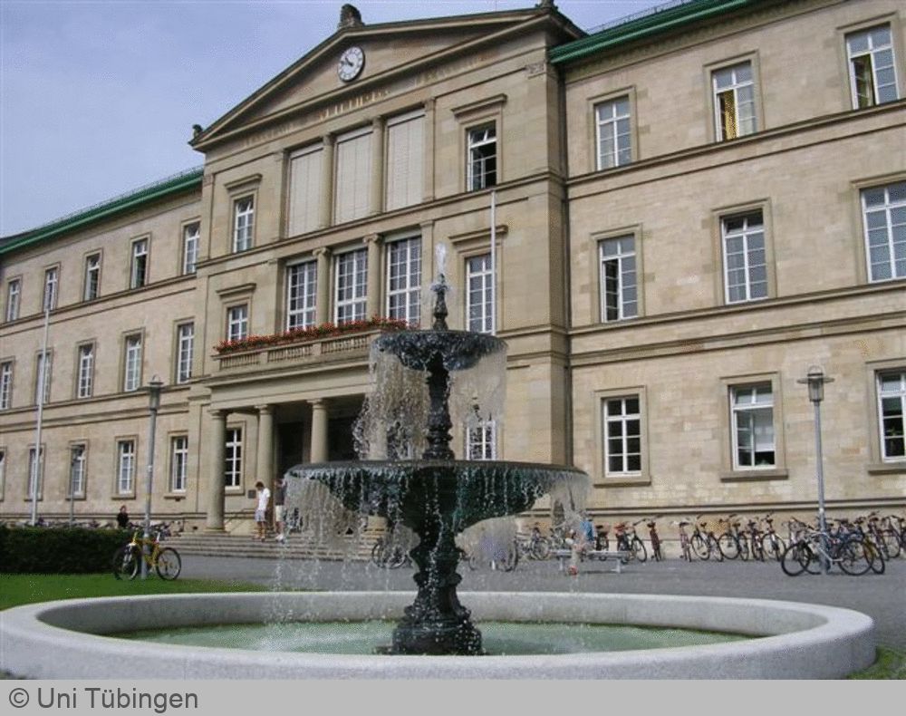 Data Science in Business and Economics an der Uni Tübingen studieren